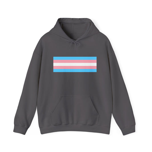 Trans Pride Flag Unisex Heavy Blend™ Hooded Sweatshirt