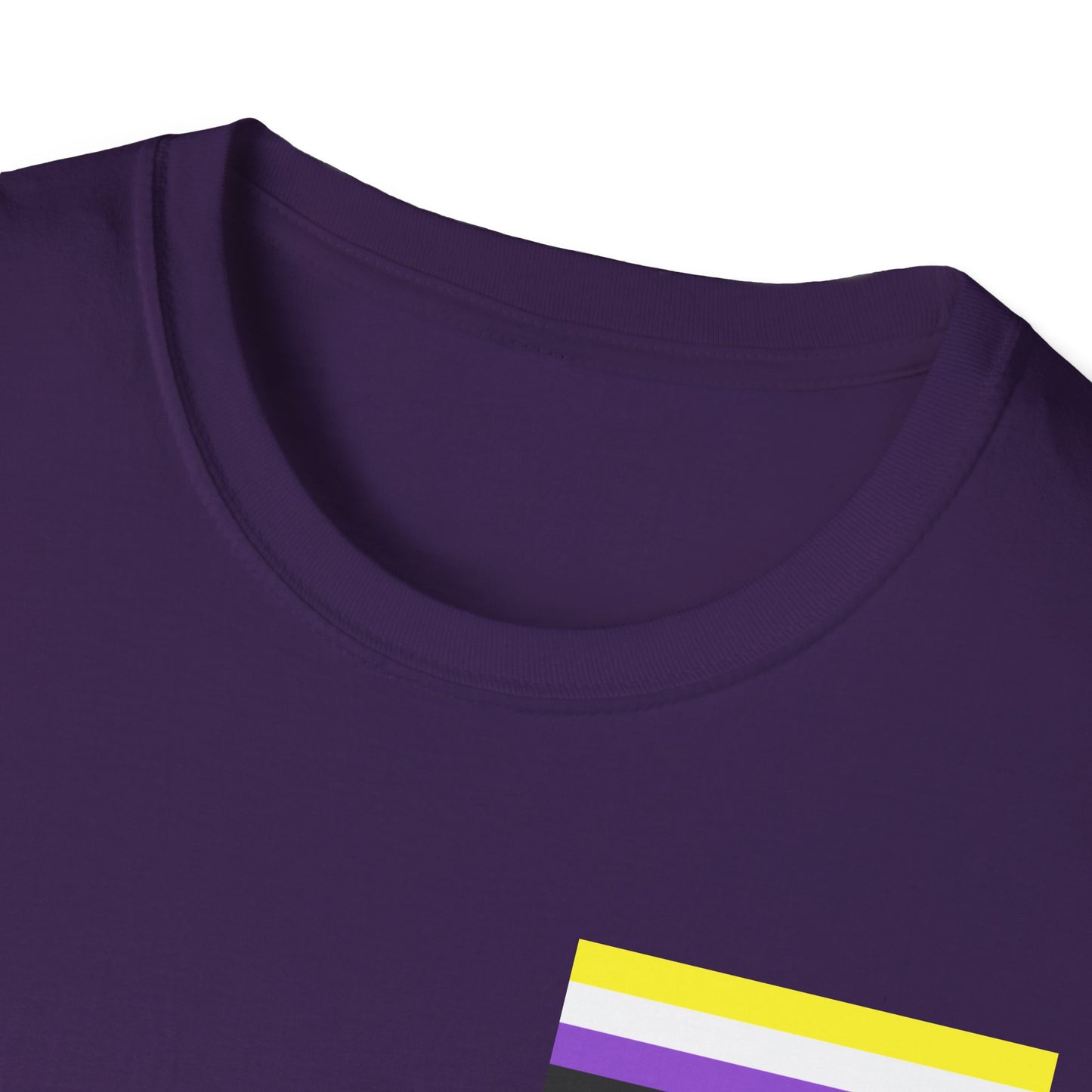 A Gender? In This Economy? Nonbinary Pride Flag Unisex Softstyle T-Shirt