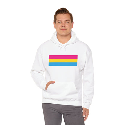 Pansexual Pride Flag Unisex Heavy Blend™ Hooded Sweatshirt